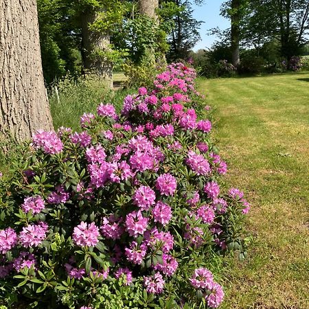 Haus Wald Und Wiese Wohnung Wiese Ehndorf エクステリア 写真