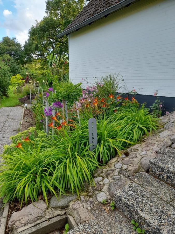 Haus Wald Und Wiese Wohnung Wiese Ehndorf エクステリア 写真